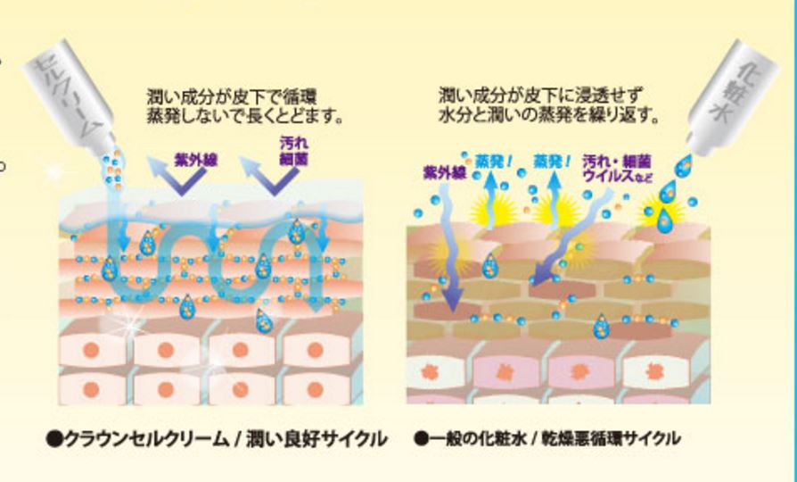 クラウンセルクリーム　保湿効果