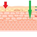 50代のシミ対策 内側からのケアがお勧め!